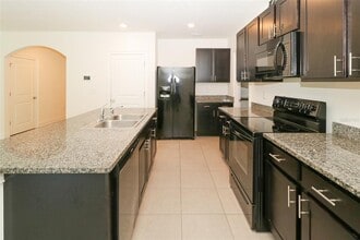 16200 Silent Sands Ln in Odessa, FL - Building Photo - Building Photo