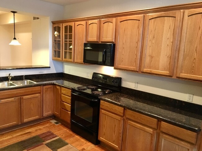 580 Green Ash St in Highlands Ranch, CO - Building Photo - Building Photo