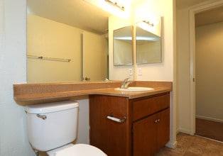 Terracina at Elk Grove in Elk Grove, CA - Foto de edificio - Building Photo