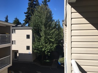 12327 Roosevelt Way NE, Unit A206 in Seattle, WA - Building Photo
