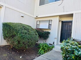 3033 Mayhew Ct in Walnut Creek, CA - Building Photo