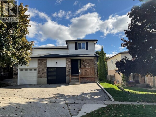 property at 113 Poplar Dr