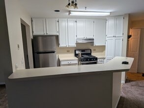 5S455 Scots Dr in Naperville, IL - Building Photo - Building Photo