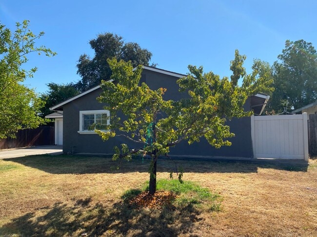 110 Wildflower Dr in Galt, CA - Building Photo - Building Photo