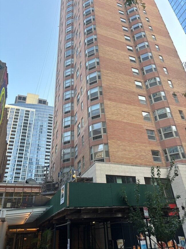 8 W Chestnut St in Chicago, IL - Building Photo - Building Photo