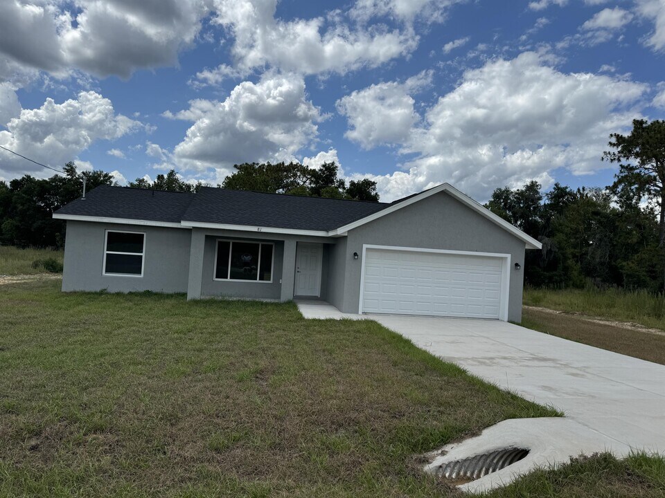 91 Maple Dr in Ocklawaha, FL - Building Photo