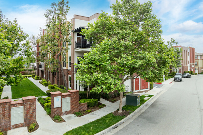 Village Walk in Claremont, CA - Foto de edificio - Building Photo