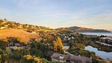 45 Harbor Oak Dr in Tiburon, CA - Building Photo - Building Photo