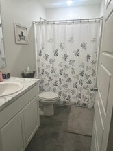 339 Condor Wy in Johnstown, CO - Building Photo - Building Photo