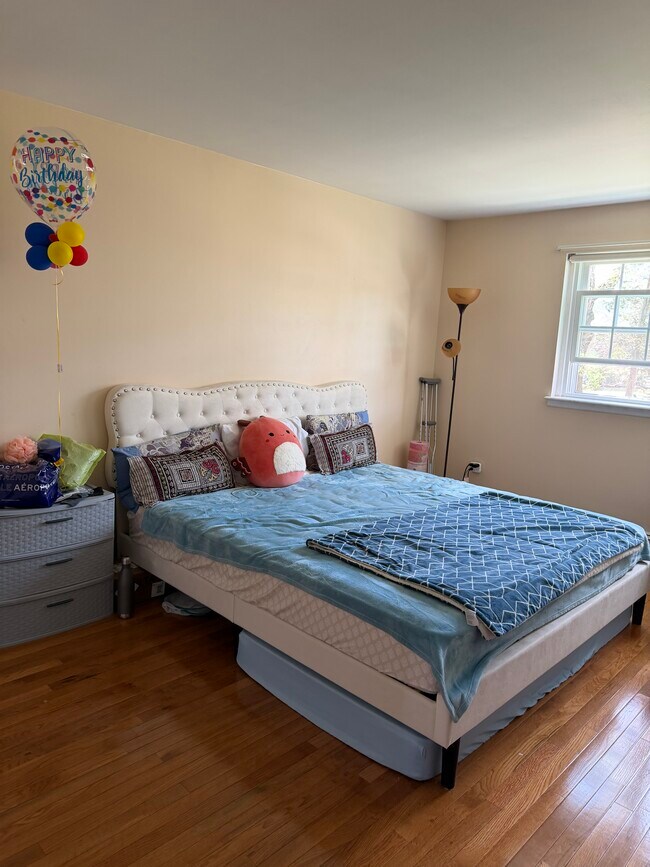 49 Jacqueline Rd, Unit 9 in Waltham, MA - Building Photo - Building Photo