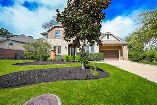 19 Sandwell Place in Spring, TX - Building Photo