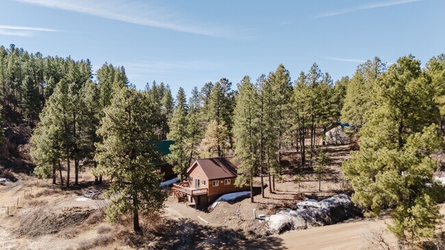 337A Brookhill Dr in Pagosa Springs, CO - Building Photo - Building Photo