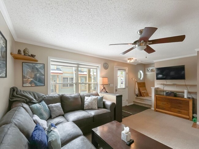 257 Huron Rd in Breckenridge, CO - Building Photo - Building Photo