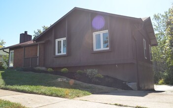 11510 Patty Ann Dr in St. Louis, MO - Building Photo - Building Photo