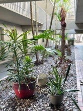 3360 S Osprey Ave in Sarasota, FL - Building Photo - Building Photo