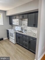 517 Morgan Ave in Palmyra, NJ - Building Photo