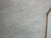 11523 Goddard St - 6