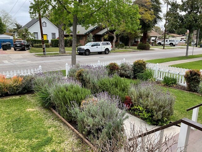 154 N Shaffer St in Orange, CA - Building Photo - Building Photo