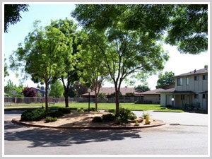 Parkview I & II in Lincoln, CA - Foto de edificio