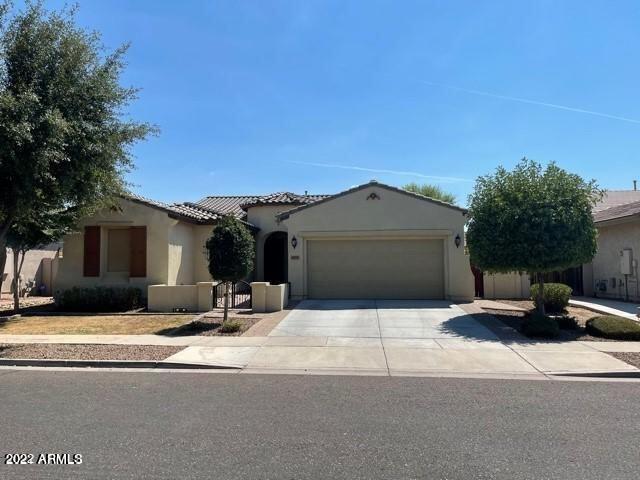 4577 E Waterman St in Gilbert, AZ - Building Photo - Building Photo