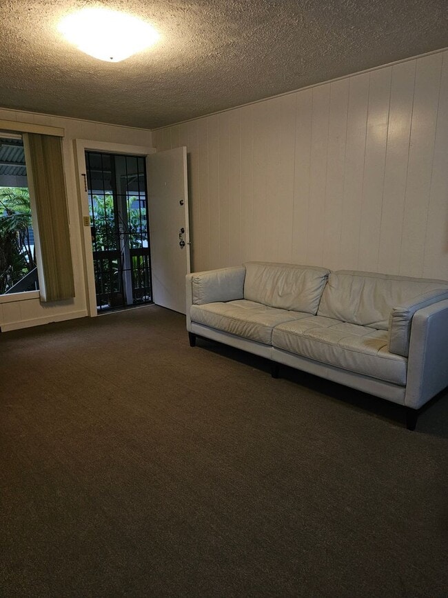 19 Loulu Ln in Hilo, HI - Building Photo - Building Photo