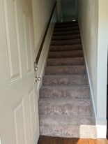 2517 Bering Dr in Houston, TX - Building Photo