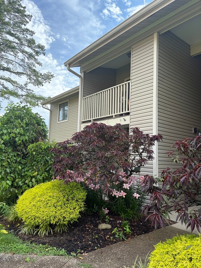 property at 334 Oxford Dr