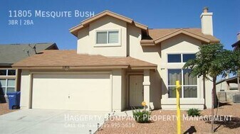 11805 Mesquite Bush Dr