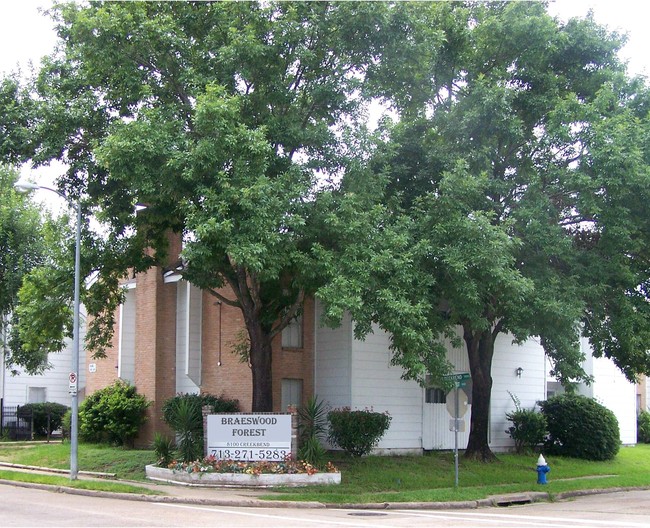 Braeswood Forest Condos in Houston, TX - Building Photo - Building Photo