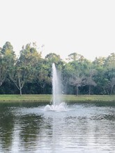 1400 Crestwood Ct S-Unit -1404 in Royal Palm Beach, FL - Foto de edificio - Building Photo