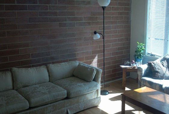 505 W Springfield Ave in Urbana, IL - Foto de edificio - Building Photo