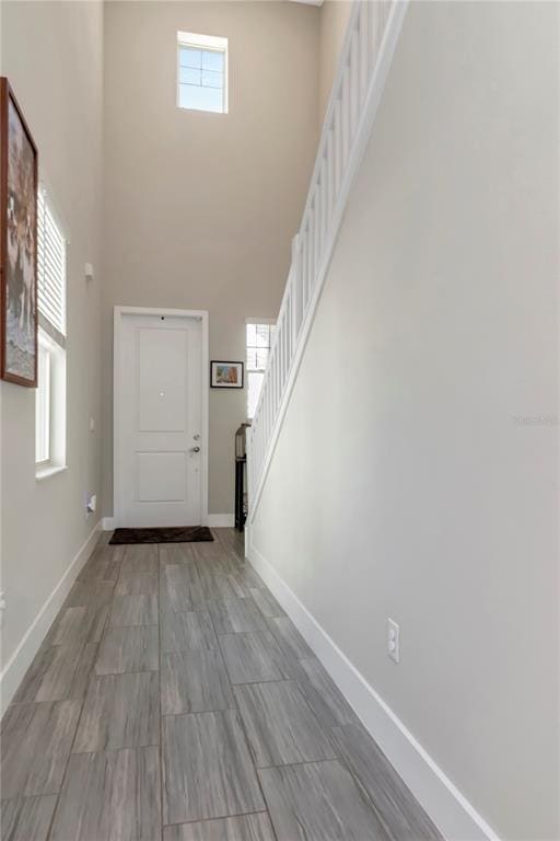 7713 S Shamrock Rd in Tampa, FL - Building Photo - Building Photo