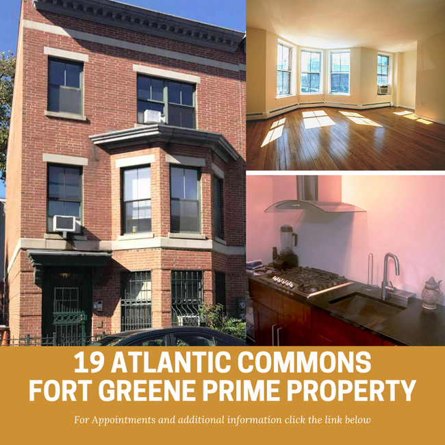 19 Atlantic Commons