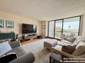 60 Longwood Ave, Unit U605 1-bed LongWood in Brookline, MA - Building Photo - Building Photo