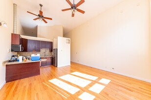 2415 W 24th St, Unit 3 in Chicago, IL - Building Photo