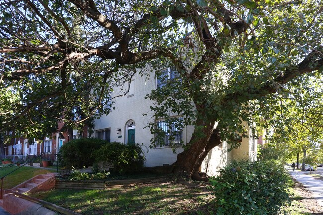 264 16th St Se in Washington, DC - Foto de edificio - Building Photo