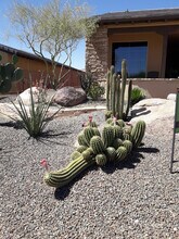 3335 Rising Sun Ridge in Wickenburg, AZ - Building Photo - Building Photo