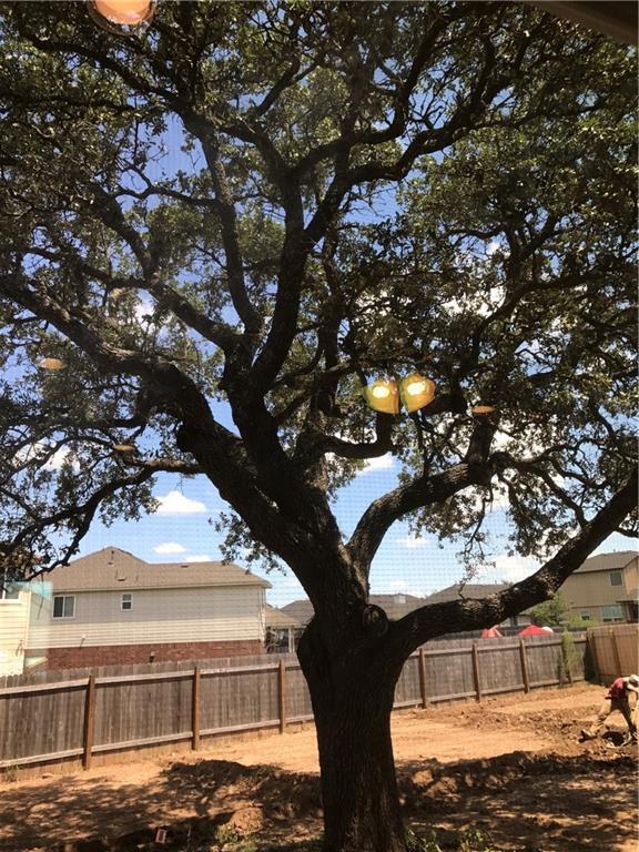 11616 Reading Ct in Austin, TX - Building Photo - Building Photo