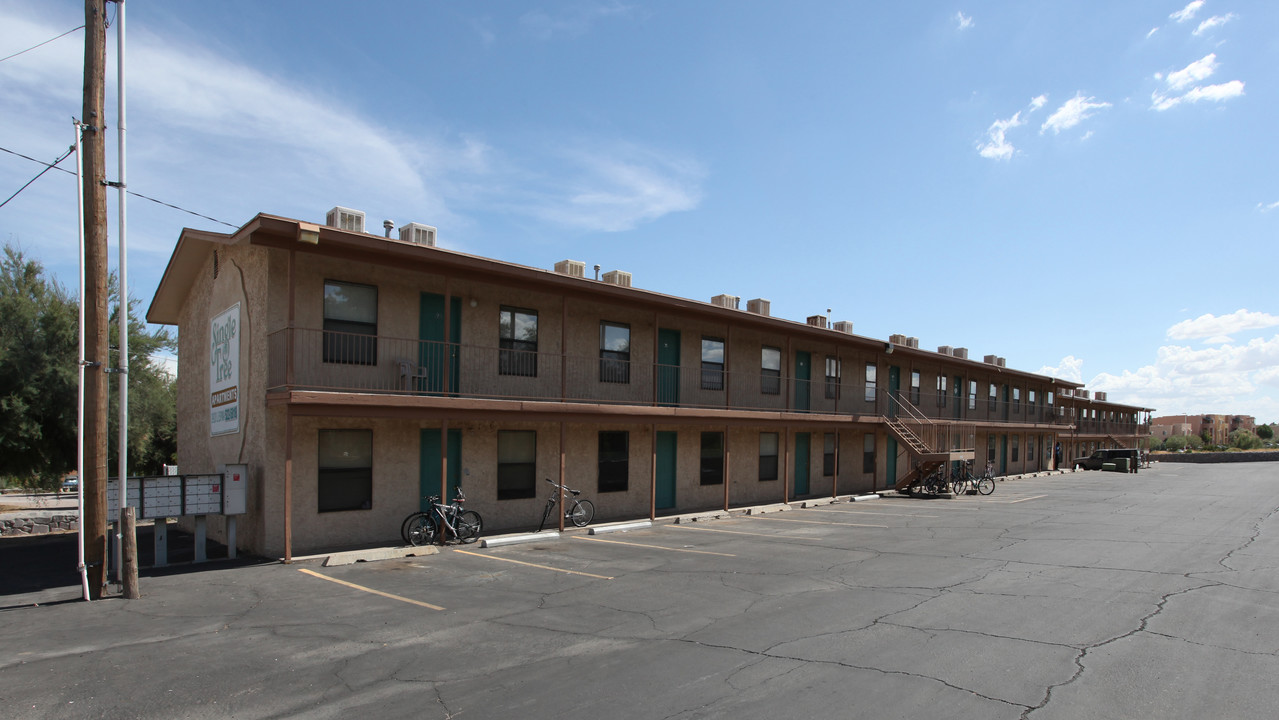 Single Tree Apartments in Las Cruces, NM - Building Photo