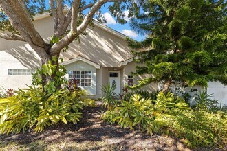 1717 Arabian Ln in Palm Harbor, FL - Building Photo - Building Photo