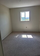 390 6th St in Fairplay, CO - Building Photo - Building Photo