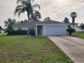 11337 Pelham St in Spring Hill, FL - Building Photo