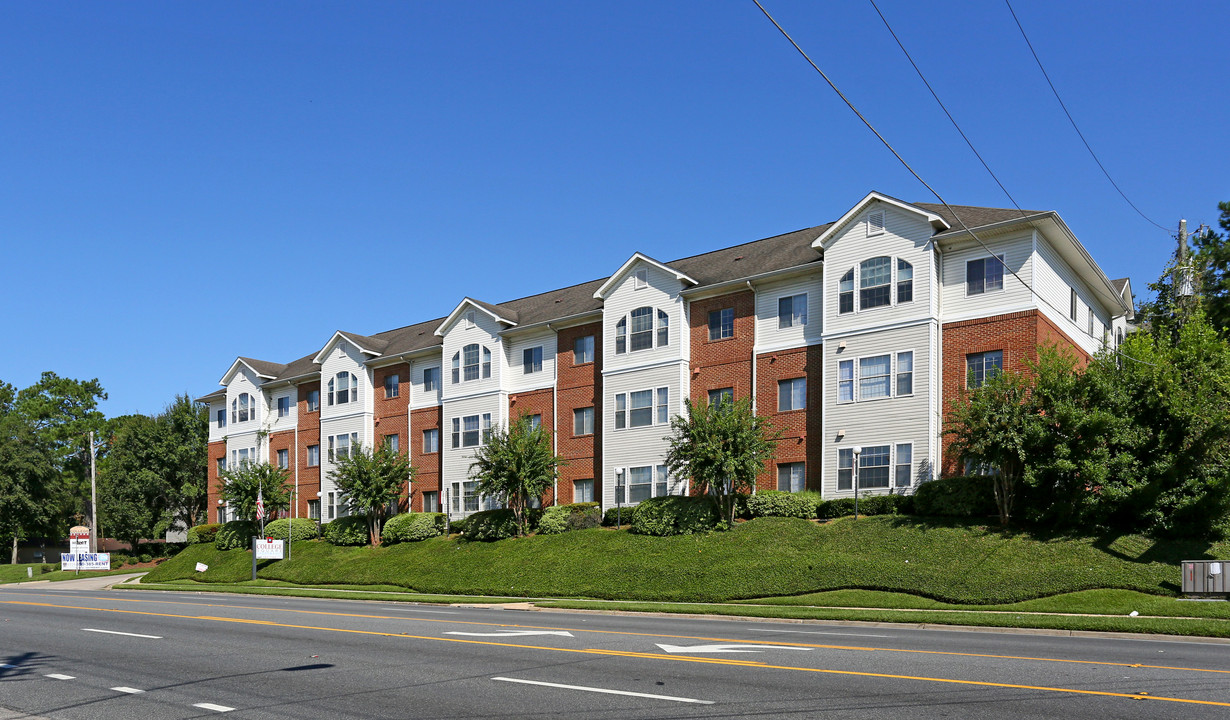 The Pavilion Apartments in Tallahassee, FL - Building Photo