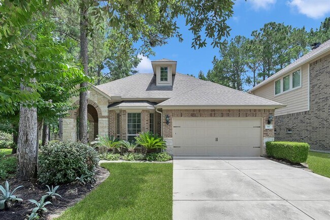 property at 66 N Whistling Swan Pl
