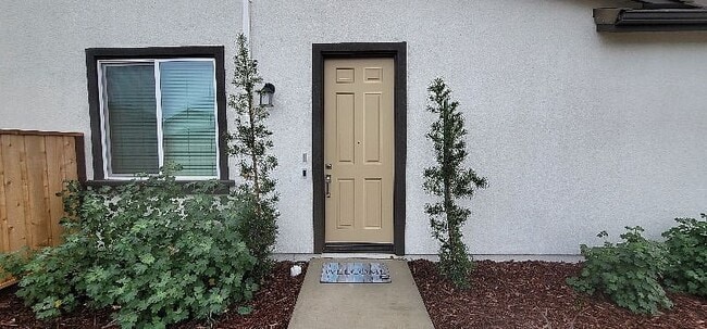 property at 5321 Frisanco Wy