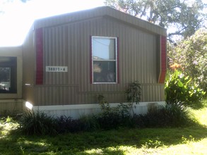 38813 County Road 54 in Zephyrhills, FL - Building Photo - Building Photo