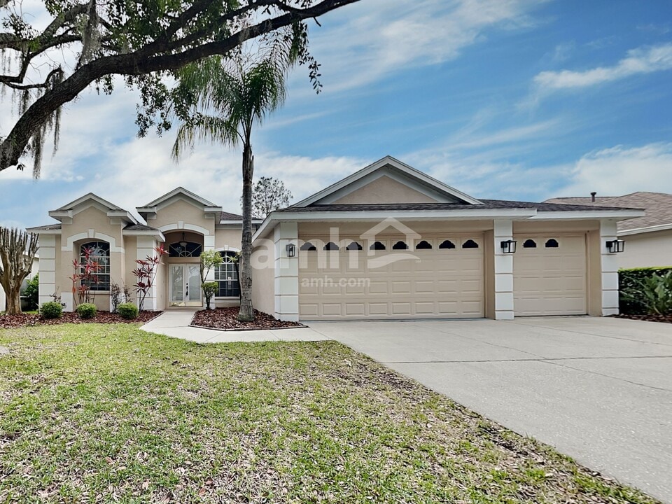 18119 Heron Walk Dr in Tampa, FL - Building Photo