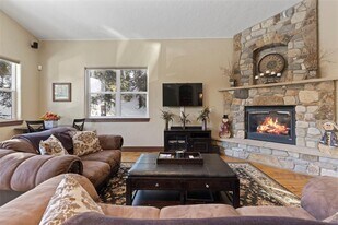 493 Co Rd 672 in Breckenridge, CO - Building Photo