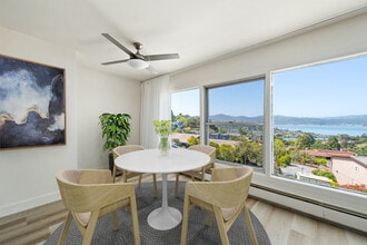 48 Lyford Dr in Belvedere Tiburon, CA - Building Photo - Building Photo