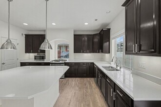 115 Pipit Lake Way in Erie, CO - Building Photo - Building Photo